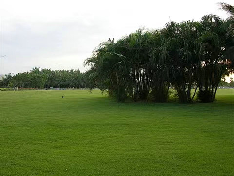 娴峰彛涓囩豢鍥?.jpg